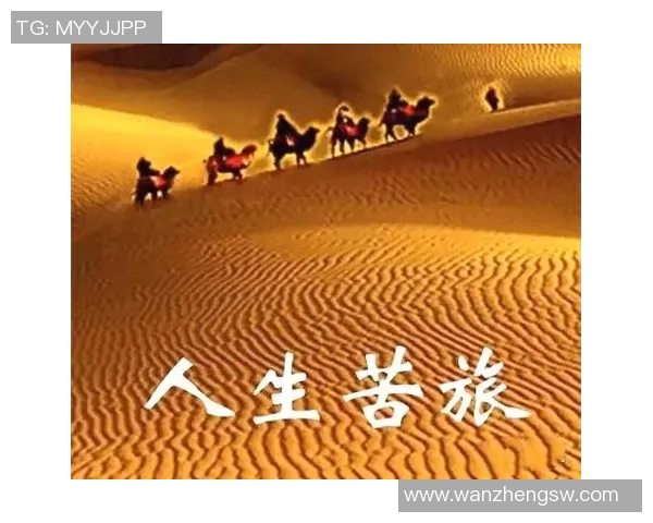 刘芳的极限运动人生探索与挑战的深度对话之旅 刘芳的极限运动人生探索与挑战的深度对话之旅