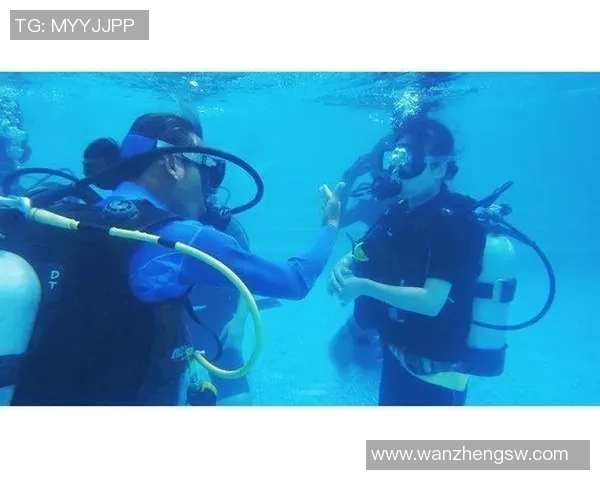 游泳新手必备：掌握基本技巧，轻松畅游水域